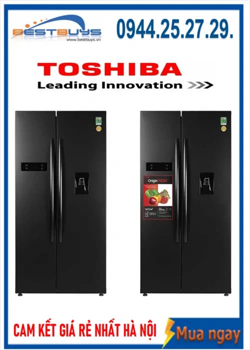 So sánh giá Tủ lạnh Toshiba Inverter 271 lít GR-RT349WE-PMV(68) - Tìm sản phẩm giá rẻ nhất - Ảnh 44