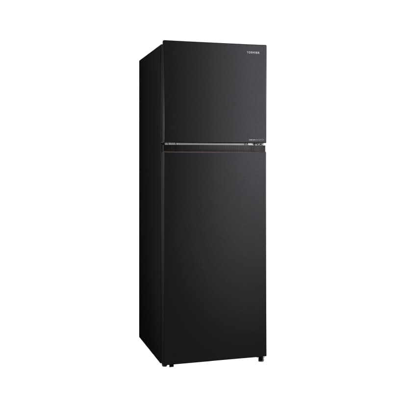 So sánh giá Tủ lạnh Toshiba Inverter 271 lít GR-RT349WE-PMV(68) - Tìm sản phẩm giá rẻ nhất - Ảnh 64