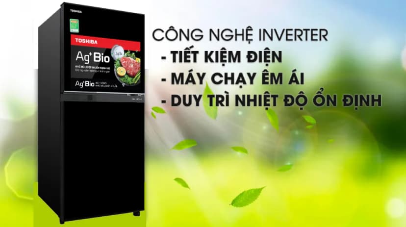 So sánh giá Tủ lạnh Toshiba Inverter 271 lít GR-RT349WE-PMV(68) - Tìm sản phẩm giá rẻ nhất - Ảnh 72
