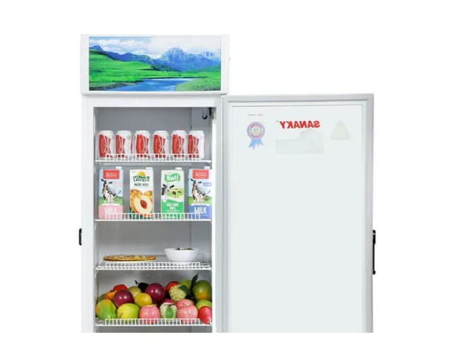 So sánh giá Tủ mát Sanaky 300 lít VH-3089K rẻ nhất? - Ảnh 6