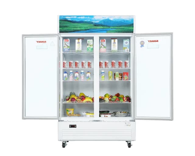 So sánh giá Tủ Mát Sanaky 900 lít Inverter VH-1009HP3 rẻ nhất? - Ảnh 11